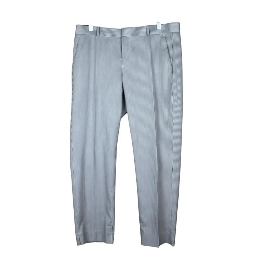 NWT Banana Republic Avery Gray Pinstripe Seersucker Texture Lightweight Suit